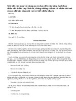 Tả chị bán hàng đang làm việc ở cửa hàng bách hoá lúc đông khách bài 2