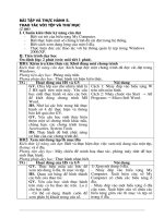 Download giáo án tin học 10   bài tập và thực hành số 5, soạn theo chuẩn kiến thức kỹ năng
