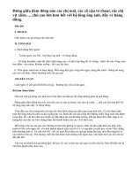 Hãy tả một con gà trống mà em chăm sóc