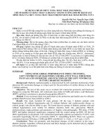 sử dụng chỉ số chức năng thất trái tei index chỉ số cơ thất trái và độ dày thành tương đối để khảo sát hình thái và chức năng thất trái ở bệnh nhân đái tháo đường typ 2 