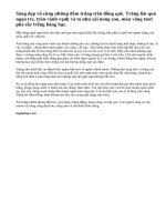 Tả một đêm trăng đẹp_bài 2