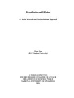 Diversification and diffusion   a social networks and neo institutional approach