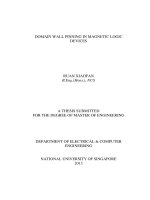 Domain wall pinning in magnetic logic devices