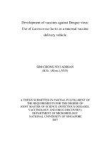 Use of lactococcus lactis as a mucosal vaccine delivery vehicle