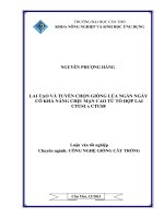 lai tạo và tuyển chọn giống lúa ngắn ngày có khả năng chịu mặn cao từ tổ hợp lai ctus1 x ctus8