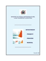 INVESTMENT PROJECT PROCESS MANUAL