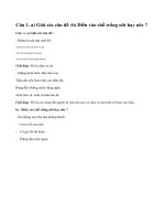 Chính tả ở lại với chiến khu