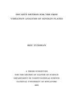 DSC ritz method for the free vibration analysis of mindlin plates