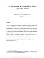An assessment of the internal rating based approach in basel II