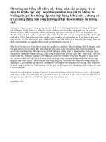 Tả cây bóng mát