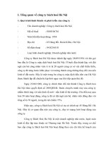 Thực trạng về tình hình hoạt động kinh doanh và phân tích hiệu quả kinh doanh của Công ty bách hoá hà nội