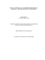 DSM IV TR personality disorders dimensional profiles   beyond the five factor model