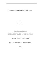 Currency cooperation in east asia