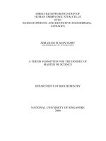 Directed differentiation of human embryonic stem cells into haematopoietic and definitive endodermal lineages