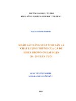 khảo sát năng suất sinh sản và chất lượng trứng của gà đẻ hisex brown ở giai đoạn 20  29 tuần tuổi