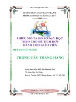 DẠY học theo chủ đề tích hợp liên môn tiết 4, bài 4 TRỒNG cây THẲNG HÀNG