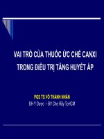 Thuốc Ức Chế Canxi Trong Điều Trị Cao Huyết Áp