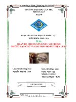 quan hệ chung sống như vợ chồng những hạn chế và giải pháp hoàn thiện luật