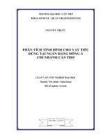 phân tích tình hình cho vay tiêu dùng tại ngân hàng đông á chi nhánh cần thơ