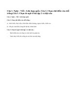 Chính tả gặp gỡ ở lúc- xăm- bua
