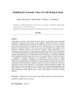 Model economic value of credit rating system