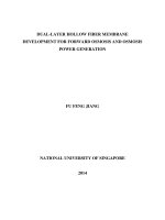 Dual layer hollow fiber membrane development for forward osmosis and osmosis power generation