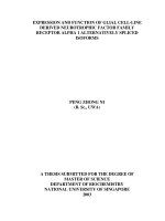 Expression and function of glial cell line derived neurotrophic factor family receptor alpha 1 alternatively spliced isoforms