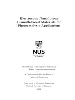 Electrospun nanofibrous bismuth based materials for photocatalytic applications