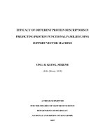 Efficacy of different protein descriptors in predicting protein functional families using support vector machine