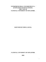 Entrepreneurial universities in a knowledge based economy the case of national university of singapore