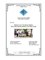 pháp luật về hoạt động mua bán hàng rong tại việt nam