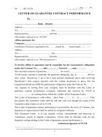 LETTER OF GUARANTEE CONTRACT PERFORMANCE