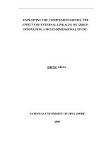 Exploiting the complementarities, the effects of external linkages on group innovation, a multi dimensional study