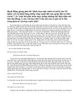 Hãy bình luận về chiến thắng sông Bạch Đằng