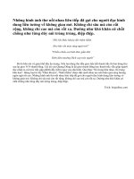 Phân tích hiệu quả nhạc tính trong đoạn thơ sau: Dốc lên ... cọp trêu người