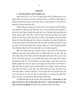 Hoàn thiện cơ chế quản lý ngân sách cấp xã nhằm phát triển kinh tế - xã hội nông thôn Việt Nam (Lấy ví dụ tỉnh Nam Định)