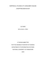 Empirical studies of consumer online shopping behavior