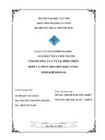 ảnh hưởng của tỷ lệ phối trộn rơm và phân heo đến khả năng sinh khí biogas