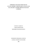 Expression and characterization of FAT1 and atrophin 1 proteins regulating planar cell polarity and MBD1 protein involved in lymphoma