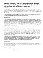 Phân tích diễn biến tâm trạng nhân vật Chí Phèo từ buổi sáng sau khi gặp Thị Nở đến khi kết thúc cuộc đời để thấy rõ bi kịch của nhân vật này