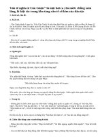 Cảm nhận về bài Văn tế nghĩa sĩ Cần Giuộc - Nguyễn Đình Chiểu.