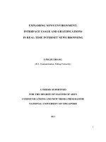 Exploring news environment, interface usage, and gratifications in real time internet news browsing