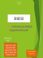 Sự bắt chước của các loài động vật trong quá trình sinh tồn tự nhiên