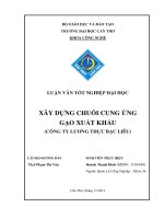 xây dựng chuỗi cung ứng gạo xuất khẩu (công ty lương thực bạc liêu)
