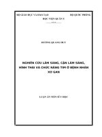Luận án tiến sĩ nghiên cứu lâm sàng, cận lâm sàng, hình thái và chức năng tim ở bệnh nhân xơ gan