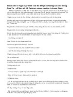 Có những giờ học đã để lại ấn tượng sâu sắc về cô giáo của em. Hãy kể lại một giở học như thế