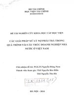 các giải pháp xử lý nợ phải trả trong quá trình tái cấu trúc doanh nghiệp nhà nước ở việt nam