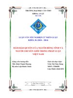 đảm bảo quyền của người đồng tính và người chuyển giới trong pháp luật việt nam