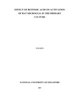 Effects of retinoic acid on activation of rat microglia in the primary culture