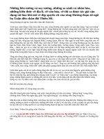 Vẻ đẹp của con Sông Hương từ ngã ba Tuần đến chân đồi Thiên Mụ mà em cảm nhận được qua bài tùy bút Ai đã đặt tên cho dòng sông của Hoàng Phủ Ngọc Tường